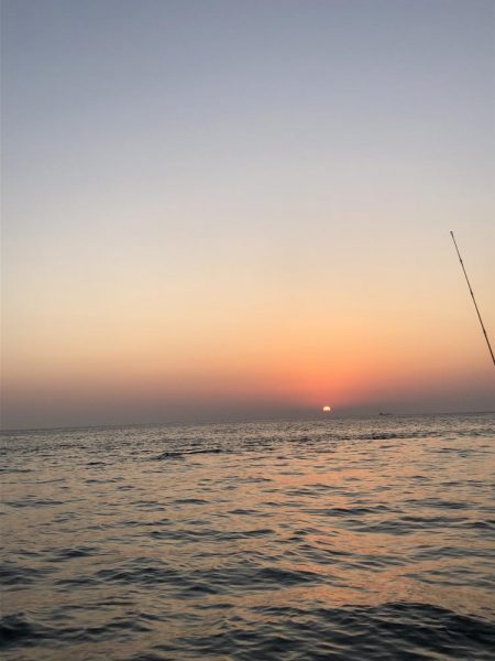 渋いの中でも青物&太刀魚!